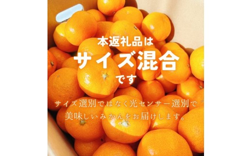 【2026年10月発送予約分】みかん 【家庭用】こだわりの有田みかん 約4kg＋250g(傷み補償分) ※サイズ混合※北海道・沖縄・離島配送不可 ＼光センサー選別／ 【農家直送】 有機質肥料100% 