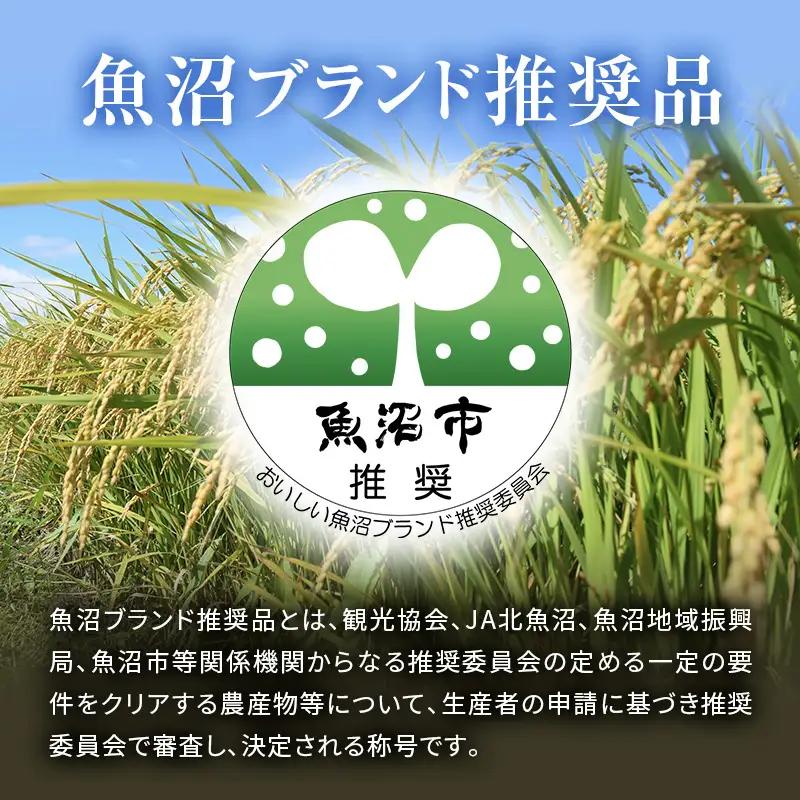 令和7年産 魚沼産コシヒカリ 雪ノ王 精米 10kg 米 お米 精米 こしひかり 魚沼 新潟