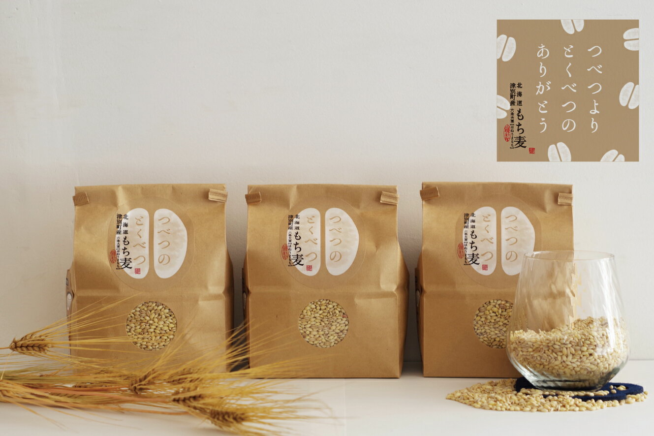 【ふるさと納税】もち麦 1kg×3 「つべつのとくべつ」| もち麦 もちむぎ モチムギ スープごはん 元気 美容 健康 食物繊維 ダイエット ヘルシーフード 低GI食品 低カロリー 北海道 津別町 送料無料