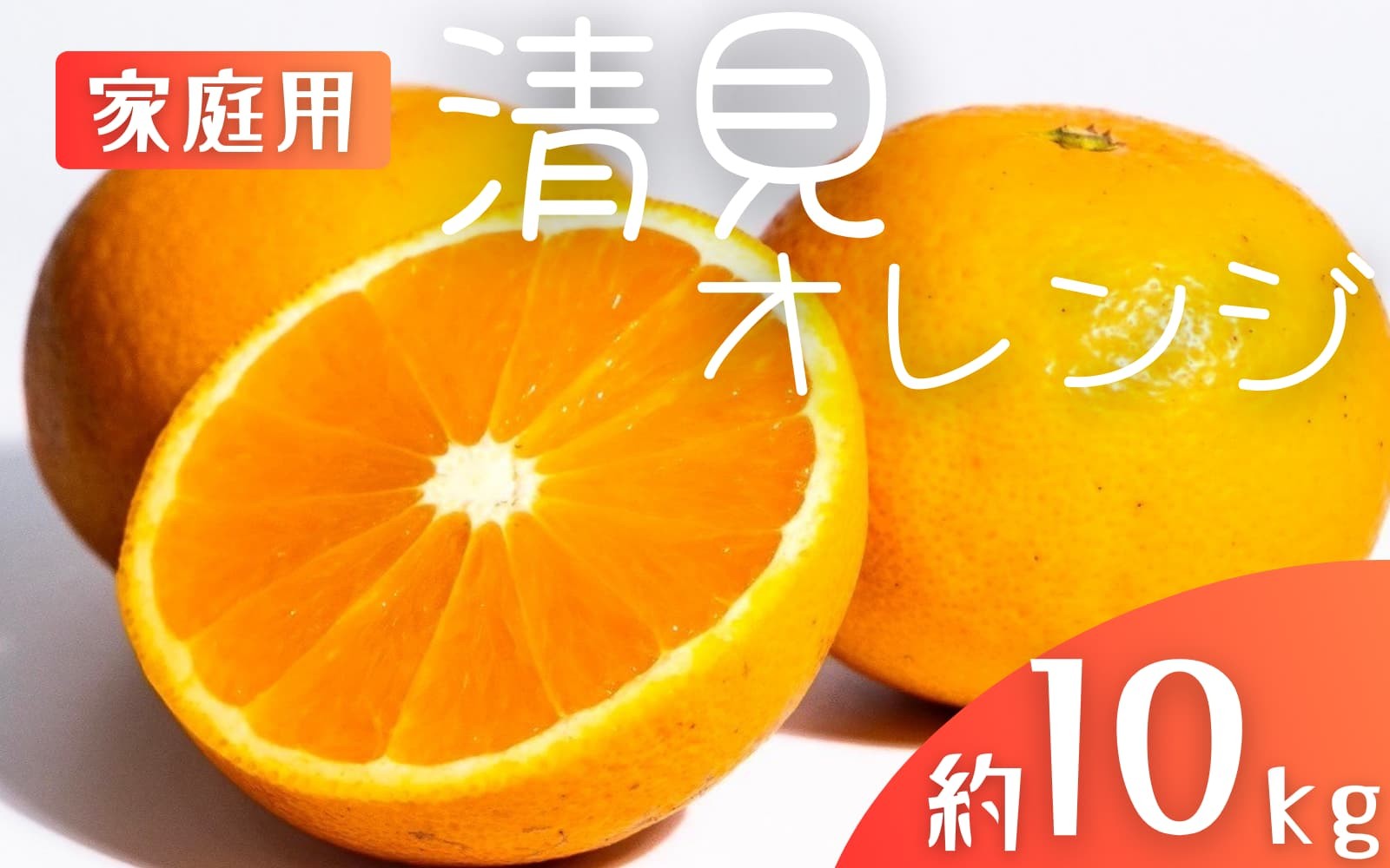 
            【先行予約】【家庭用】 森本農園の手選別 清見オレンジ 約10kg 和歌山県産 サイズ混合 ※2026年2月上旬～5月中旬頃順次発送 / きよみ 清見 柑橘 ご家庭用 期間限定 由良町 果物 フルーツ 和歌山県【mrmt039A】
          