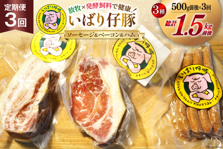 【定期便 3か月連続】シェフもおすすめ「日本で一番おいしい豚肉！」★いばり仔豚★ソーセージ＆ベーコン＆ハム詰め合わせコース