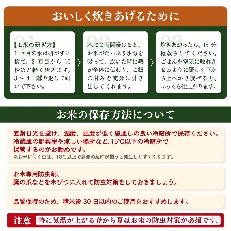 【先行予約】【令和8年産】こしひかり 5kg【白米】【2026年10月中旬以降順次発送】 [e26-a015_01]