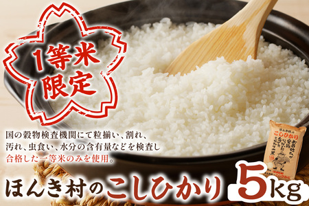 【令和7年産】ほんき村のこしひかり（5kg）お取り寄せ 特産 お米 精米 白米 一等米 ごはん ご飯 コメ 新生活 応援 準備 5キロ 【197_1954】
