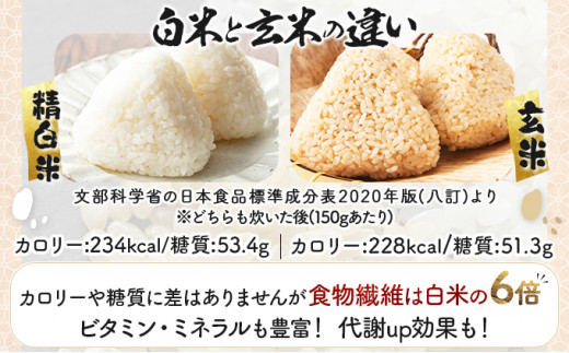 ＜令和8年産＞『100%自家生産玄米』善生さんの自慢の米 玄米ゆめぴりか 20kg｜北海道 岩見沢市 お米 新米【a104-108】【06130】 20kg