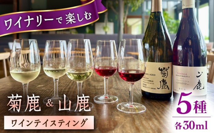 
            【チョイス限定】 【数量限定】グラスワイン 試飲5種セット 30ml×5種 【菊鹿ワイナリー】 [ZFB005]
          