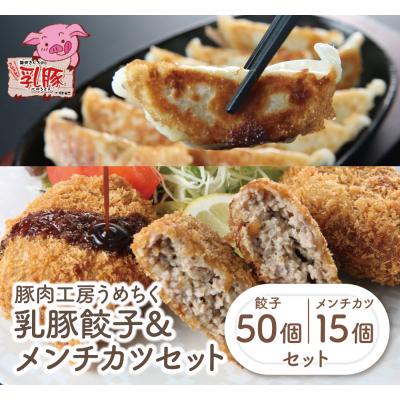 ふるさと納税 福智町 乳豚 餃子50個&amp;メンチカツ15個セット
