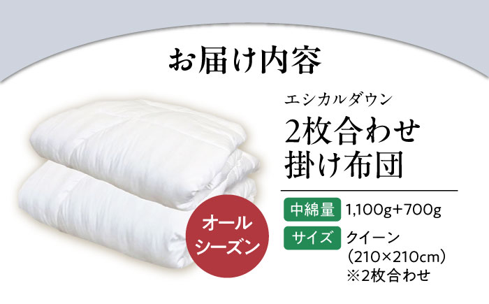 洗える 人工羽毛布団 2枚合わせ掛け布団 クイーン エントリーモデル 広島県福山市/イシケン株式会社 2枚組 羽毛布団 羽毛ふとん 肌掛け 日本製 オールシーズン 掛布団 寝具 アレルギー対策 [BA