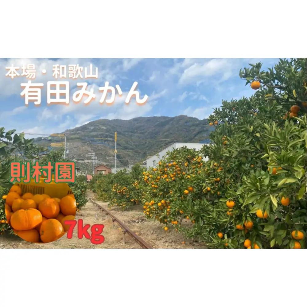 則村園産 有田みかん 7kg 温州みかん みかん 蜜柑 甘い 甘いみかん 有田 有田川町 和歌山