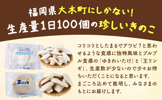 珍しいきのこ2種×5パックセット(ゆきれいたけ5パック・王リンギ5パック)