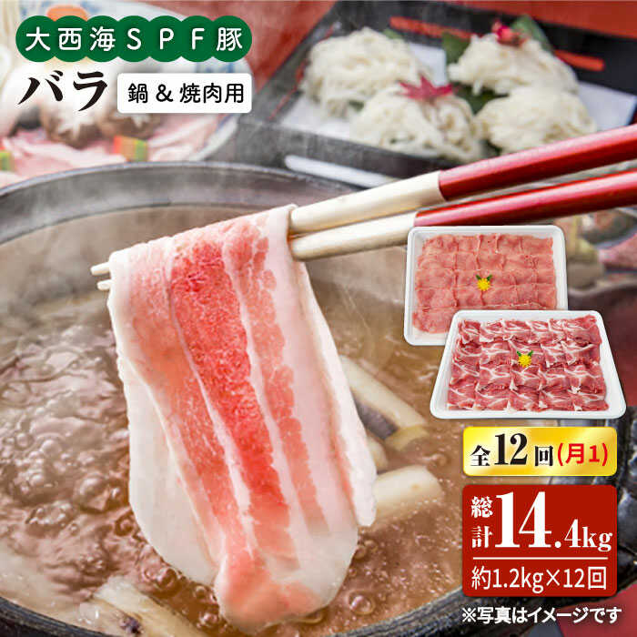 【ふるさと納税】【訳あり】【月1回約1.2kg×12回定期便】大西海SPF豚 バラ（焼肉＆しゃぶしゃぶ用）＜大西海ファーム＞ [CEK123]