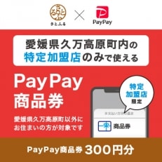 愛媛県久万高原町　PayPay商品券(300円分)※地域内の一部の加盟店のみで利用可