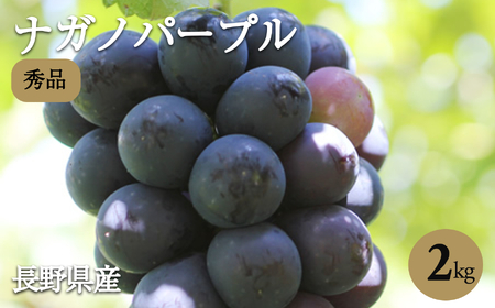 皮ごと OK! 長野県産 種なし ナガノパープル 約2kg 秀品 〈2026年8月下旬～10月上旬発送〉| 長野県 飯田市