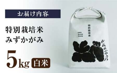 【令和6年度産】特別栽培米みずかがみ　5kg白米　滋賀県長浜市/株式会社お米の家倉[AQCP054]