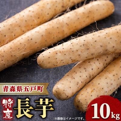ふるさと納税 五戸町 【青森県五戸町特産】長芋　10kg