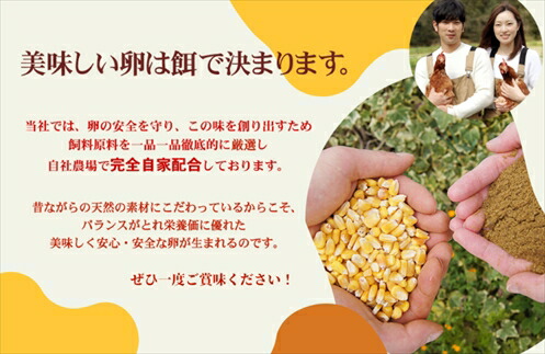 6ヶ月定期便 丹波奥郷の卵 やまぶき 45個+5個破卵補償 約3kg 自家配合飼料 濃厚卵黄 兵庫県 丹波市