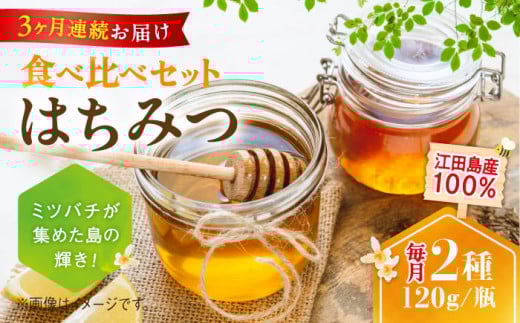 【全3回定期便】江田島産100％ はちみつ 2種食べ比べセット（120g×3本） ハチミツ 蜂蜜 国産 広島 江田島市/はつはな果蜂園 [XCD027] ハチミツ 国産蜂蜜 国産はちみつ 国産純粋はちみつ 蜜 蜂蜜 はちみつ ハニー honey 人気ハチミツ 日本蜜蜂 純粋はちみつ 常温 保存 備蓄 防災食 非常食 保存食 産地直送 国産 定期便