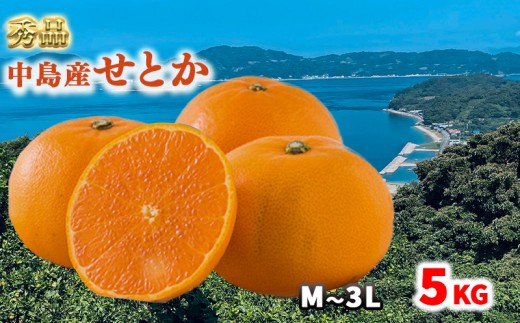 【2027年2月下旬頃から順次発送】 【秀品】 松山市 中島産 松山市中島産 せとかＭ～3Ｌサイズ　5kg （ 愛媛みかん 愛媛ミカン みかん ミカン mikan 蜜柑 柑橘 フルーツ 果物 くだもの お取り寄せ 産地直送 数量限定 人気 おすすめ 愛媛 松山 フジ・アグリフーズ
