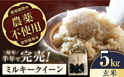 【令和7年産新米】ミルキークイーン 5kg 玄米 自然栽培米  長浜市/株式会社お米の家倉 [AQCP003] 米 お米 玄米  5kg  ミルキークイーン 自然栽培米  滋賀県産 長浜市産 こめ お米 新米 食品 ふるさと納税 国産 炊きたて 米ギフト もちもち ブランド米  食卓 美味しい 産地直送 節約 人気