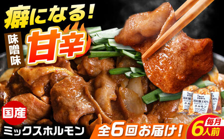 【6回定期便】昔ながらのミックスホルモン 3袋（6人前） / モツ もつ レバー ホルモン / 御嵩町 / 藤よし[AVAA086]