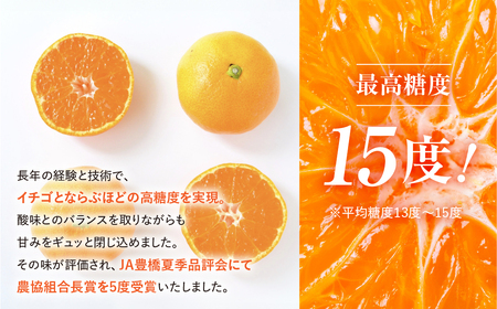 ハウスみかん 5kg 家庭用 笑和園 みかん