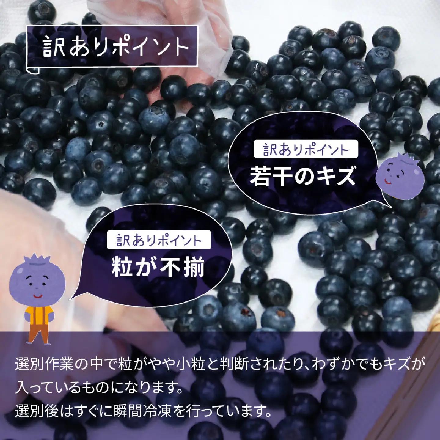 【訳あり】令和8年産〈冷凍〉手摘み有機ブルーベリー1kg（500g × 2パック）果物 フルーツ