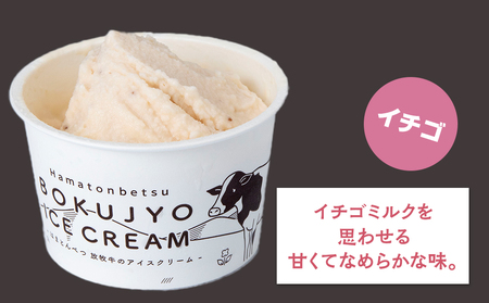 放牧牛 アイスクリーム2種（イチゴ・チョコ　各3個）計6個 【池田牧場】 アイス スイーツ デザート 冷凍 卵不使用 北海道ふるさと納税