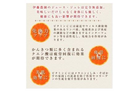 伊藤農園 ピュアフルーツ寒天ジュレドリンクタイプ あまなつ 12本セット(B639-2)