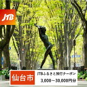 【ふるさと納税】【仙台市】JTBふるさと旅行クーポン（Eメール発行）（3,000円分～30,000円分）