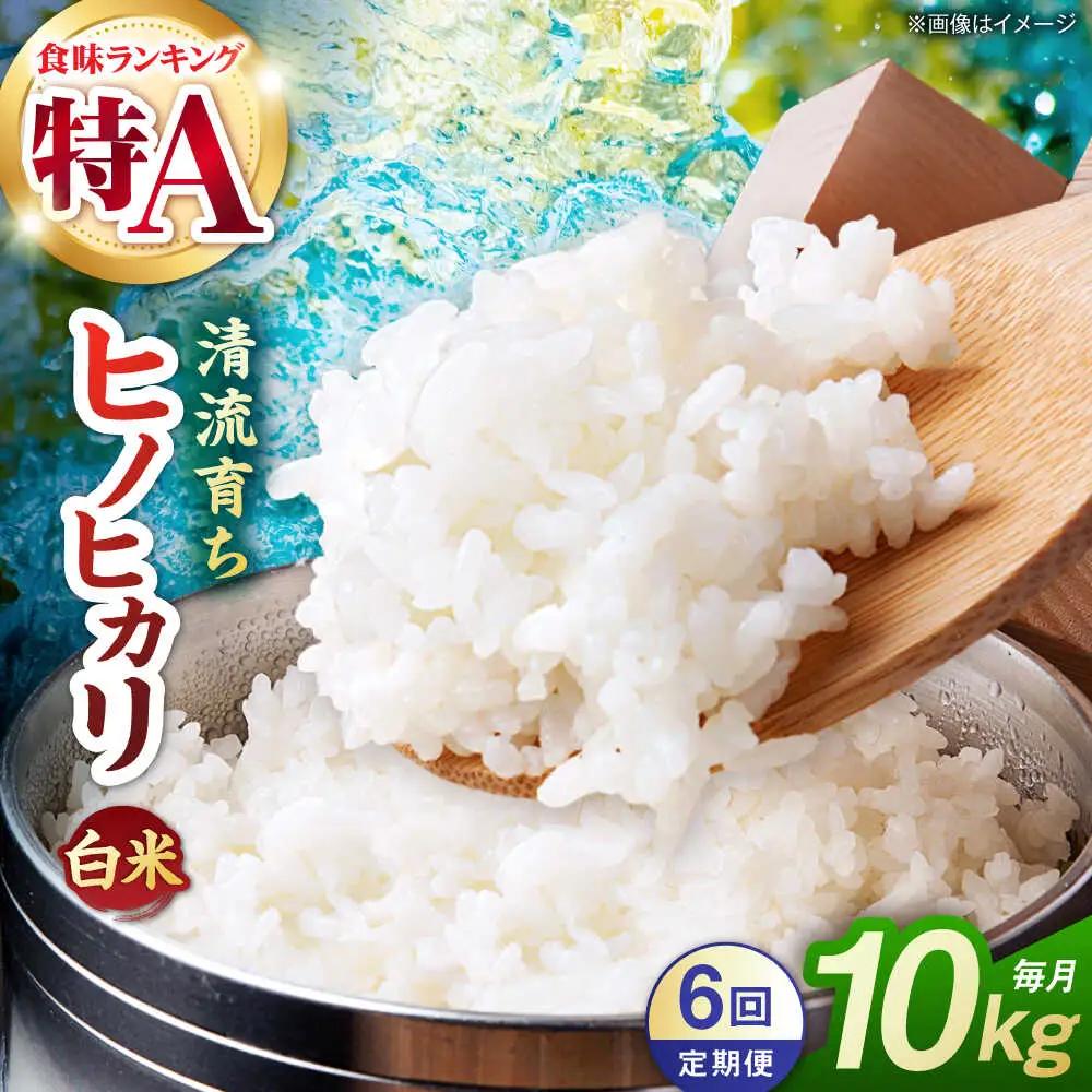 【先行予約】【6回定期便】山鹿市産 ヒノヒカリ 白米  10kg 【奥村果実園】[ZFK015]