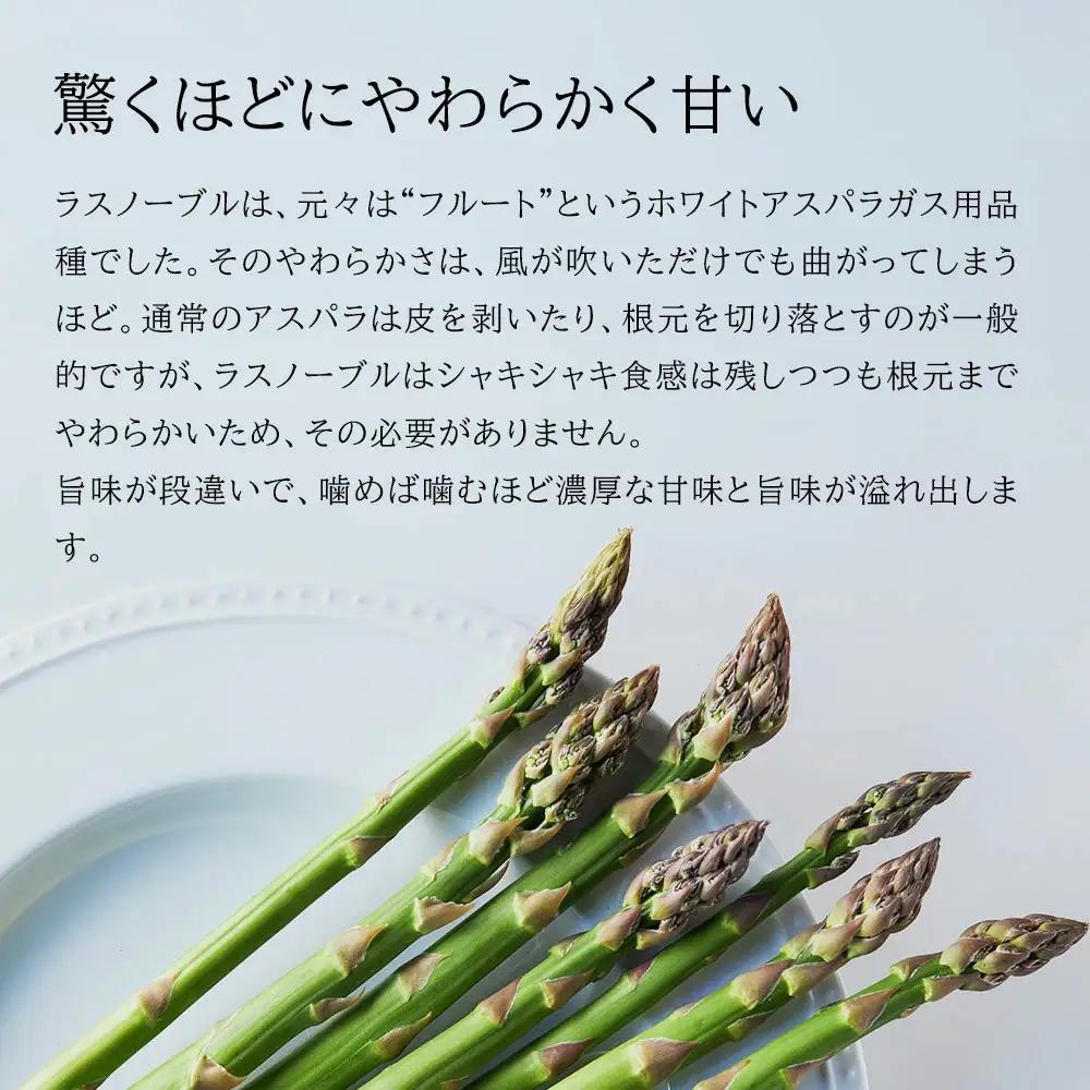 【令和9年産先行予約】アスパラガス 2S～Sサイズ 1kg 定期便 3回便 北海道 美瑛町 ラスノーブル アスパラ