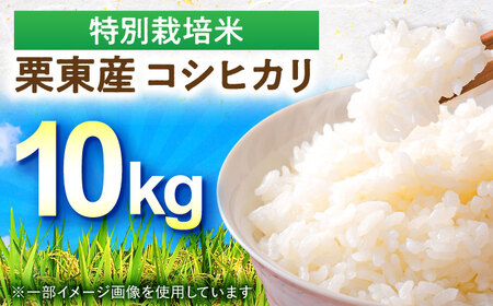 コシヒカリ 10kg BIBV004 コシヒカリ