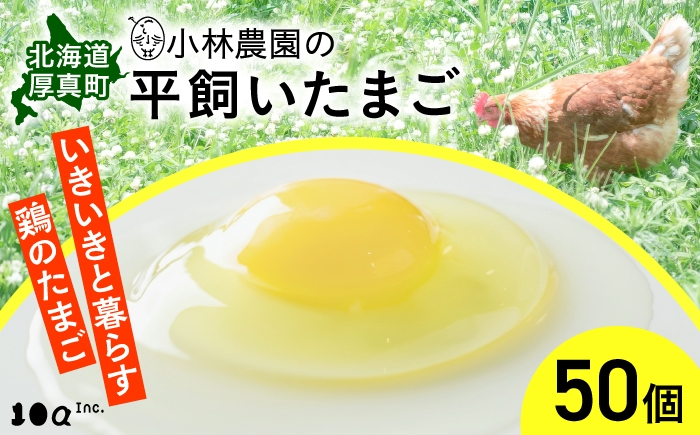 
                  小林農園の平飼いたまご・無投薬 50個《厚真町》【テンアール株式会社】 有精卵 卵 鶏卵 玉子 生卵 平飼い 北海道 [AXAN010]
                