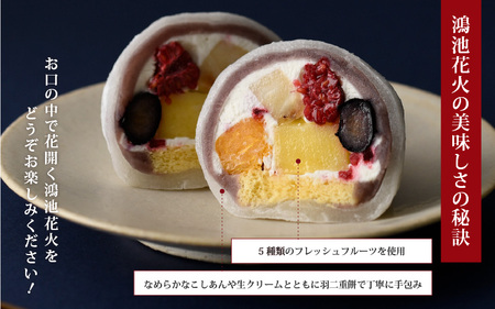 ★多数のメディアで紹介されました★ 【ふるさと納税限定】五條堂（GOJODO）の鴻池花火2個入り＋トライ焼き2個入りセット