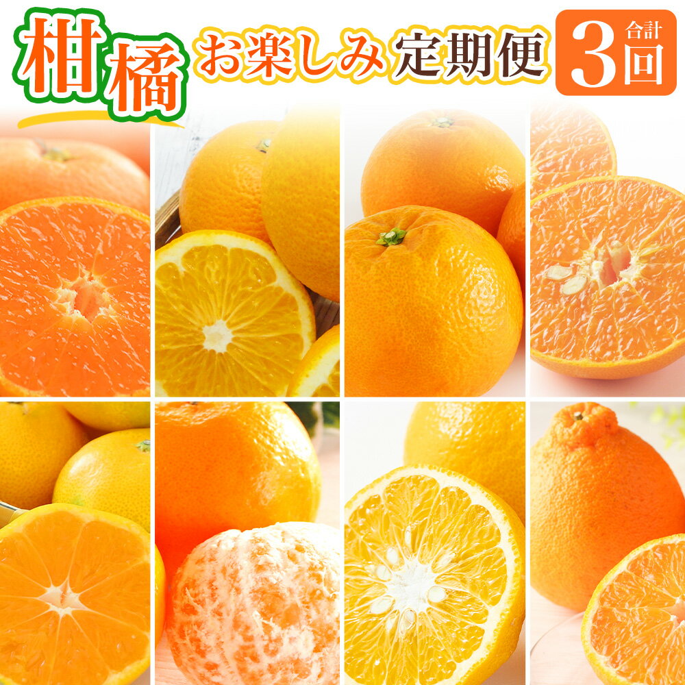 【ふるさと納税】【全3回定期便】春冬限定 柑橘お楽しみ定期便 みかん ポンカン 不知火等 早生みかん 中生みかん 甘夏 八朔 伊予柑 蜜柑 果物 フルーツ 青果 旬 お取り寄せ 国産 長崎 定期便 送料無料【2026年11月上旬～2027年3月下旬に発送予定】