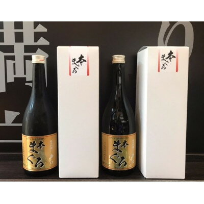 【ふるさと納税】福生の地酒　嘉泉　純米吟醸 本まぐろ　720ml　2本セット【1624825】