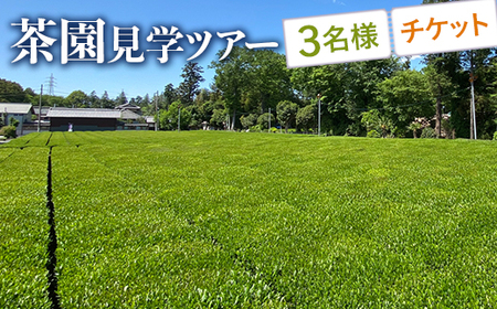 茶園見学ツアー3名様チケット _BM07