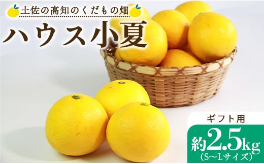 
ハウス小夏2.5kg(ギフト用) 高知 土佐 こなつ 果物 フルーツ 土佐の高知のくだもの畑 【先行予約】 - ミカン みかん 蜜柑 柑橘 ハウス 果物 フルーツ こなつ 贈答用 贈り物 のし対応可 熨斗 国産 kd-0011
