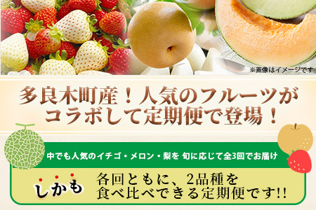 【フルーツ 定期便 3回】2026年発送 多良木町産 いちご・メロン・梨 各2種 食べ比べ 3回配送 数量限定 東光寺梨 西山果樹園 木村メロン園 坂下農園 イチゴフルーツ 果物 名産 熊本