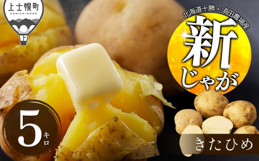 2026年産 北海道産 新じゃが きたひめ 5kg 北海道 上士幌町 須田農場 野菜 秋野菜 じゃがいも ジャガイモ 馬鈴薯 産地直送  ◆2026年9月中旬発送開始予定 ［008-V81］