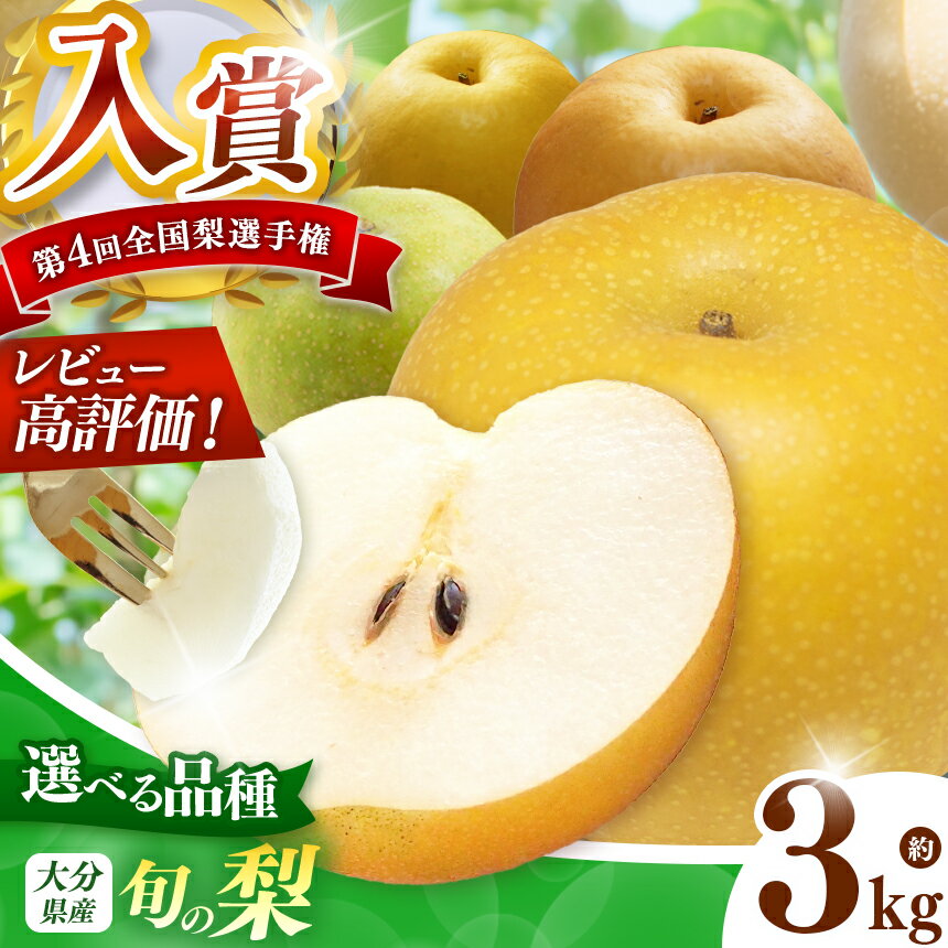 【ふるさと納税】西江豊水園の旬の梨 選べる 品種 約3kg | フルーツ 果物 くだもの 果実 数量限定 梨 なし 喜水梨 幸水梨 豊水梨 菊水梨 新興梨 かおり梨 和梨 3kg 3キロ 新鮮 産地直送 大分県産 九州産 国産 大分県 中津市【発送は2026年7月～9月頃までの予定】