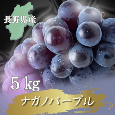 
                  【2026年先行予約開始!】長野県中野市産ナガノパープル  5kg(8～12房)【1682460】
                