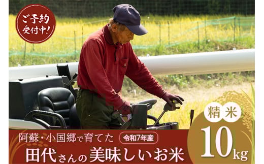 先行予約 令和7年産 11月出荷 新米 産直 ノンブレンド米 単一原料 お米 白米 精白米 銘柄おまかせ あきげしき ひのひかり こしひかり 阿蘇 小国町 産地直送 国産 日本産 地場産 贈答 田代さんのお米 10kg
