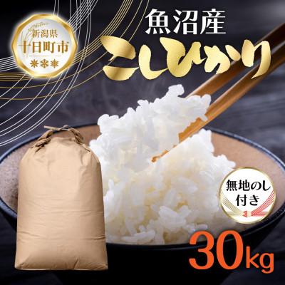 ふるさと納税 十日町市 無地のし【令和7年産 新米予約】魚沼産 コシヒカリ 30kg 精米 新潟県 十日町 仁田地区限定