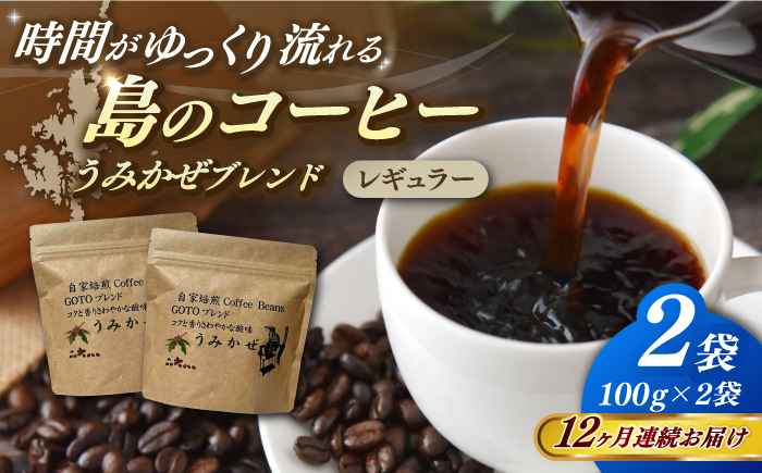 
【全12回定期便】Fuuki Coffee　Roaster　Coffee　Beans うみかぜブレンド2パック【冨喜】 [RBO025]
