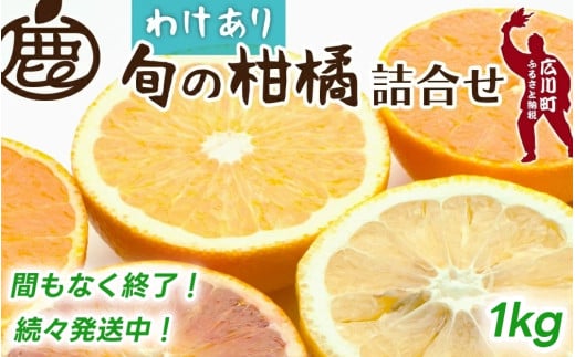 柑橘 詰合せ 1kg+30g 訳あり 光センサー / みかん 不知火 清見 八朔 伊予間 セミノール レモン ３種類以上 詰め合わせ 晩柑 ※1月上旬〜7月中旬に順次発送 ※北海道・沖縄・離島への配送不可【ikd049-c-1】