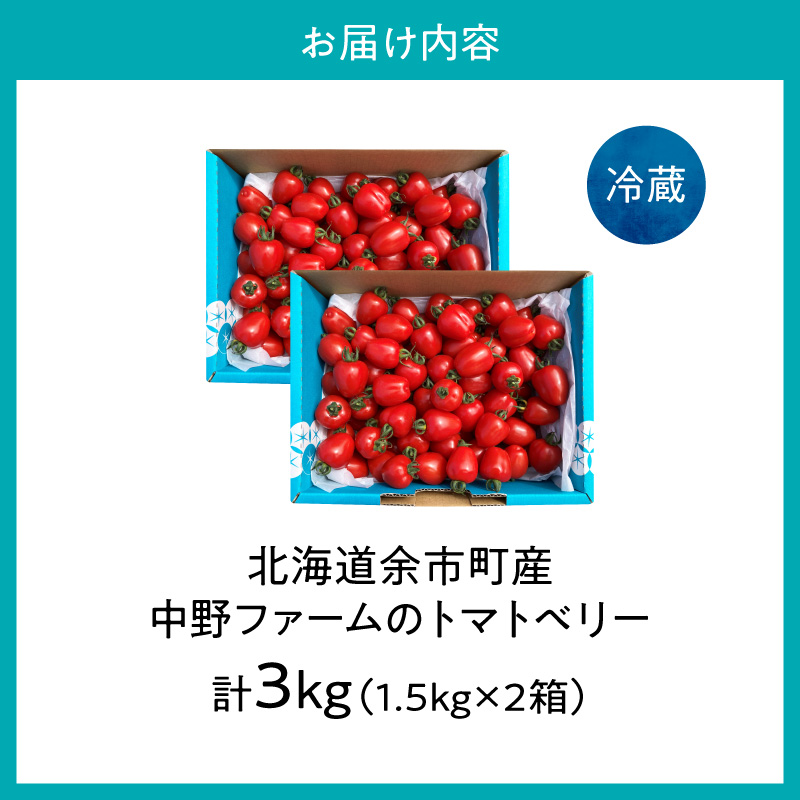 【先行予約7月上旬発送】余市町 中野ファーム トマトベリー 3kg ハート型フルーツミニトマト 甘くて完熟 お弁当に最適 先行予約 甘いトマト 完熟 サラダ お弁当 おやつ 彩り かわいい_Y026-0015