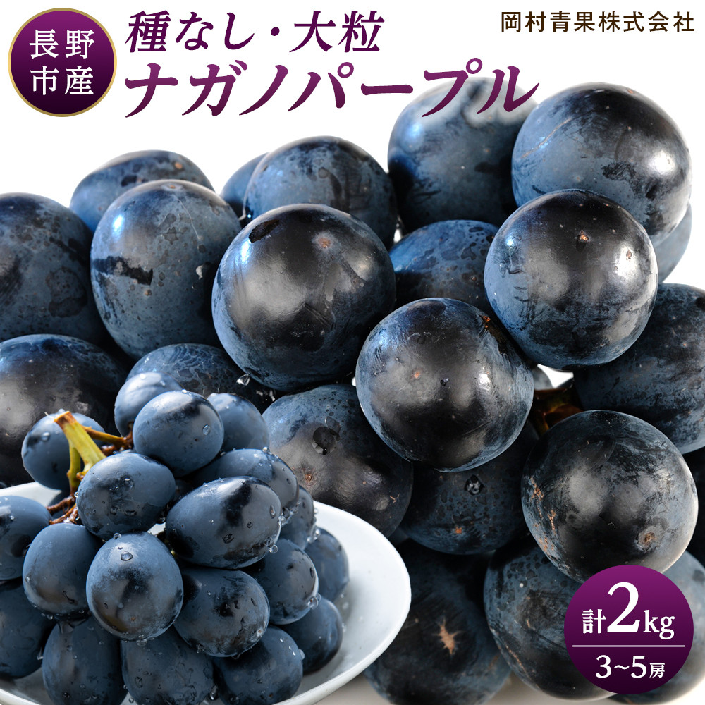 金オ岡村青果株式会社　長野市産 ナガノパープル2kg【2026年8月末以降出荷分】果物 くだもの フルーツ デザート 種無し 大粒 旬  |  ぶどう フルーツ 果物 人気 おすすめ ギフト プレゼント 送料無料 長野県 長野市 信州 信濃 ふるさと納税