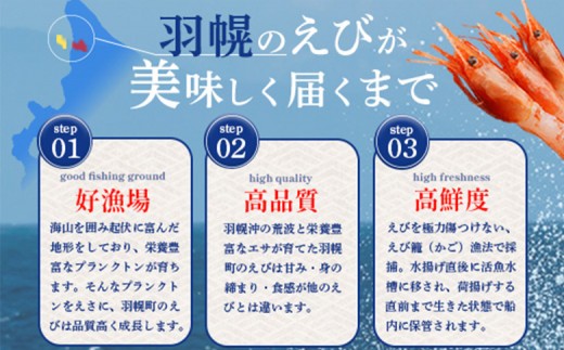 超速リキッド凍結でドリップゼロ！北海道羽幌産生鮮甘えび 400g