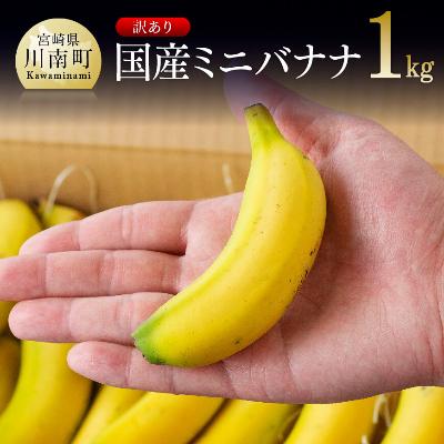ふるさと納税 川南町 【訳あり】 国産ミニバナナ1kg