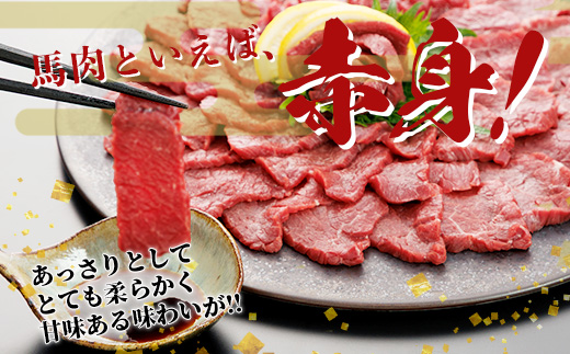 熊本県 赤身 馬刺し 約500g 専用醤油付き 150ml×1本 熊本県 多良木町 ふるさと納税 馬肉 馬さし 肉 ヘルシー 赤身 本場 050-0361